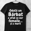 tricou haios odata un barbat