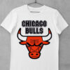 tricou chicago bulls