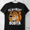 tricou ce ai facut bobita