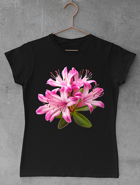 tricou dama rhodora Rhododendron