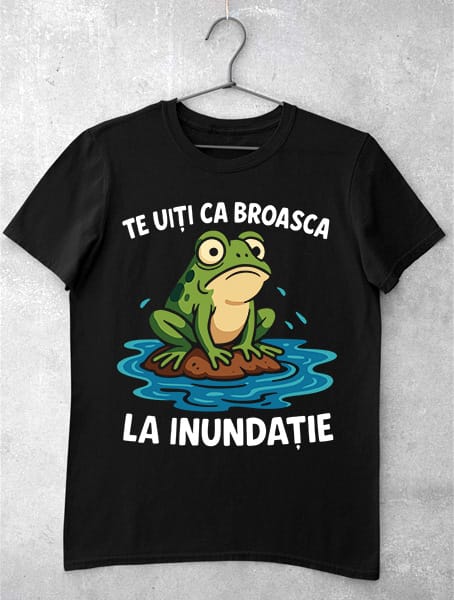tricou te uiti ca broasca la inundatie