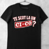 tricou te scot la un cico
